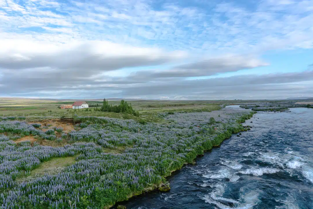 Les bonnes raisons de faire un voyage en Islande